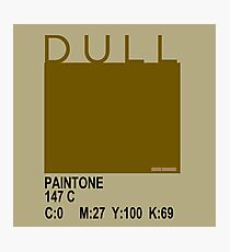 DULL and proud! - 147c Photographic Print
