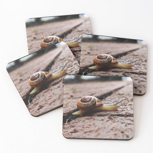 Item preview, Snail Portrait designed and sold by RussellsArtMart.