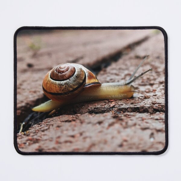 Item preview, Snail Portrait designed and sold by RussellsArtMart.