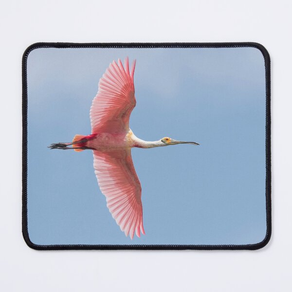 Item preview, Sky is the Limit - Roseate spoonbill in Blue Sky! designed and sold by Puttaswamy Ravishankar.