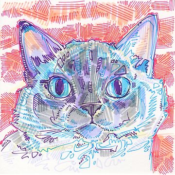 Artwork thumbnail, Ragdoll Cat with Big Blue Eyes by Gwenn Seemel