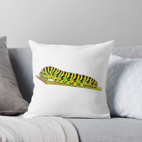 Aperçu de l'œuvre Chenille du machaon Papilio machaon créée et vendue par AikasHeaven.