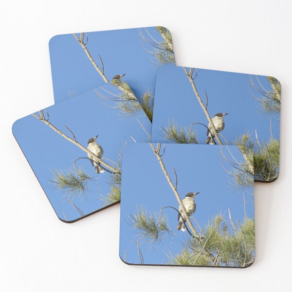 Item preview, Grey butcherbird designed and sold by greentiger1.