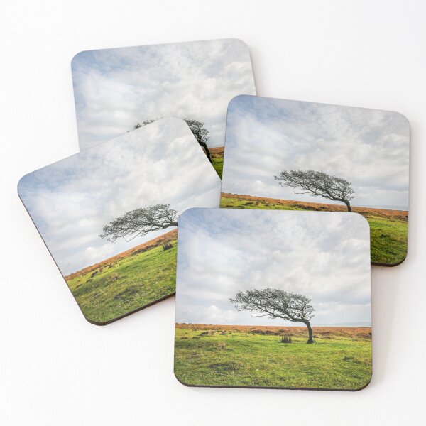 Item preview, Windswept Tree designed and sold by Dave Hare Photography.