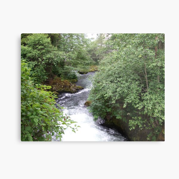Hidden Metal Print