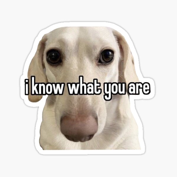 "I Know What You Are" Sticker for Sale by lgrace-247 | Redbubble