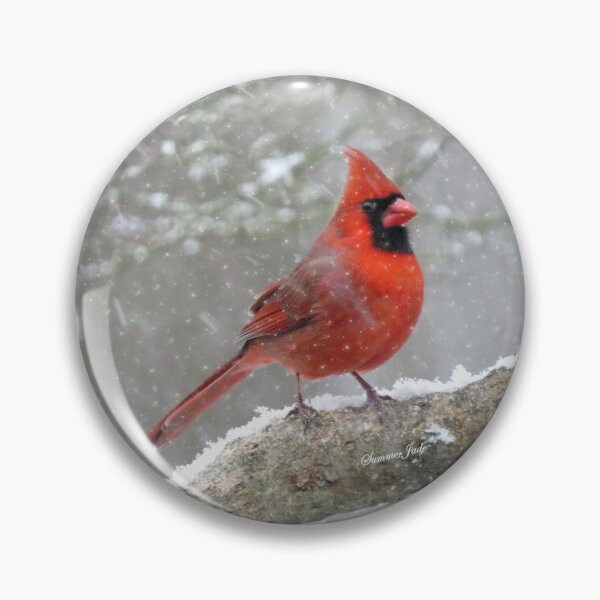 Item preview, Cardinal and the Weather Outside designed and sold by SummerJade.