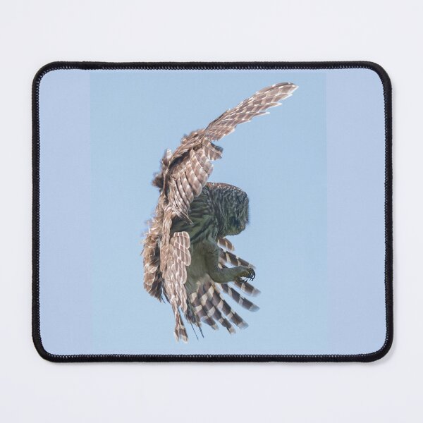 Item preview, Formidable Talons designed and sold by Puttaswamy Ravishankar.