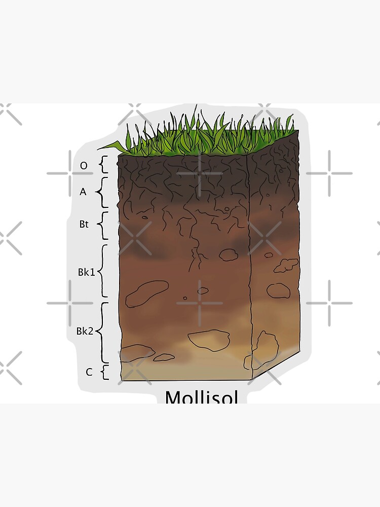 Soil Horizons: Definition, Features, and Diagram
