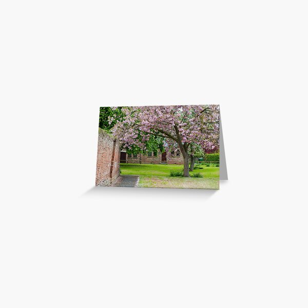 Cherry Blossom Greeting Card