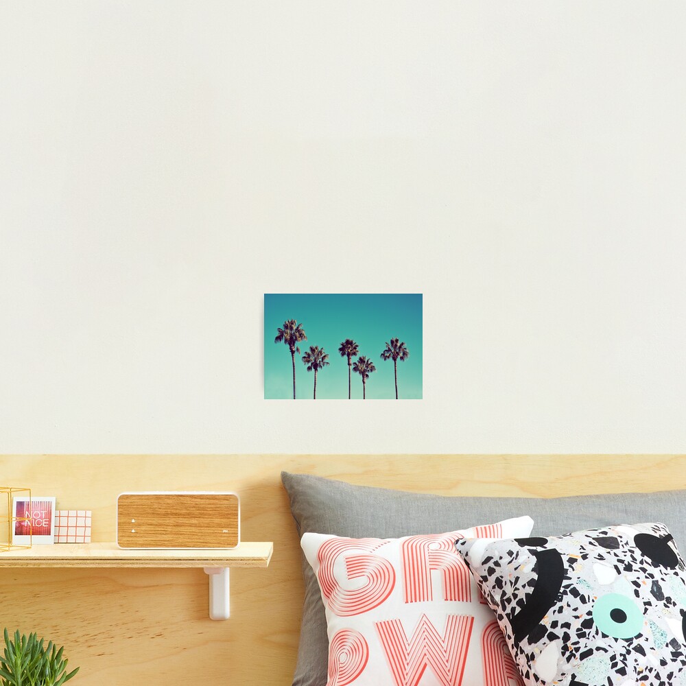 California Palm Trees Photographic Print
