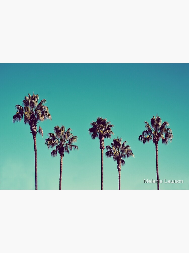 California Palm Trees by LawsonImages