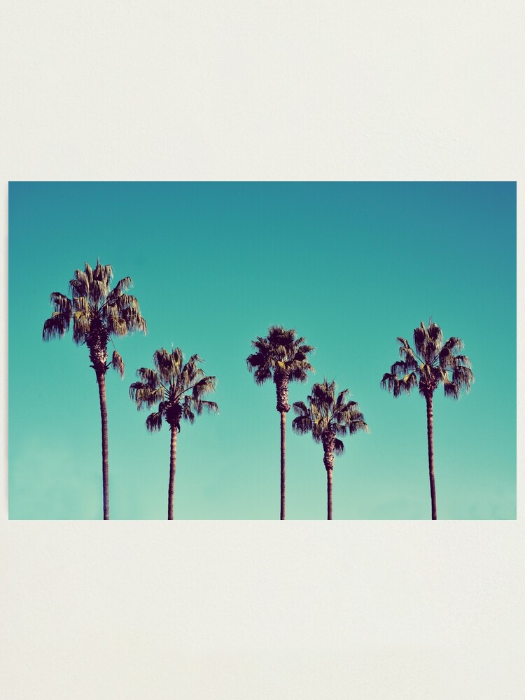 Alternate view of California Palm Trees Photographic Print