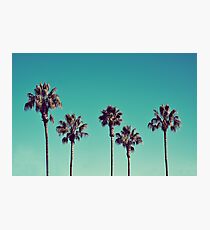 California Palm Trees Photographic Print