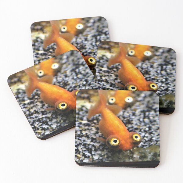 Item preview, Fish Eyes Cute Fish Photography Pet Store designed and sold by RockettCrow.