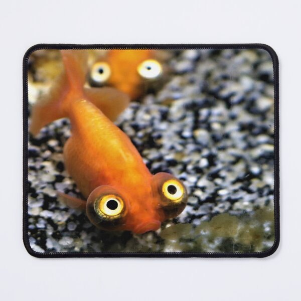 Item preview, Fish Eyes Cute Fish Photography Pet Store designed and sold by RockettCrow.