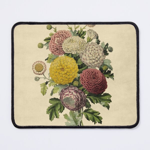 Item preview, Varieties of Chrysanthemums of India designed and sold by ptMaker.