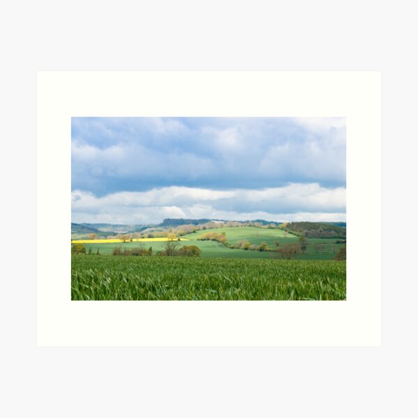 White Horse view Art Print