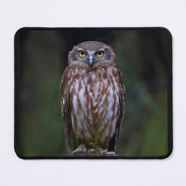 Item preview, Zizi the Barking Owl designed and sold by BeagleKidz.