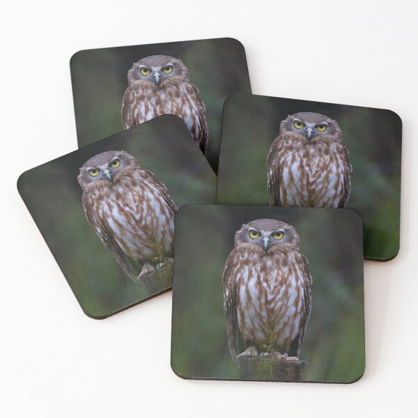 Item preview, Zizi the Barking Owl designed and sold by BeagleKidz.