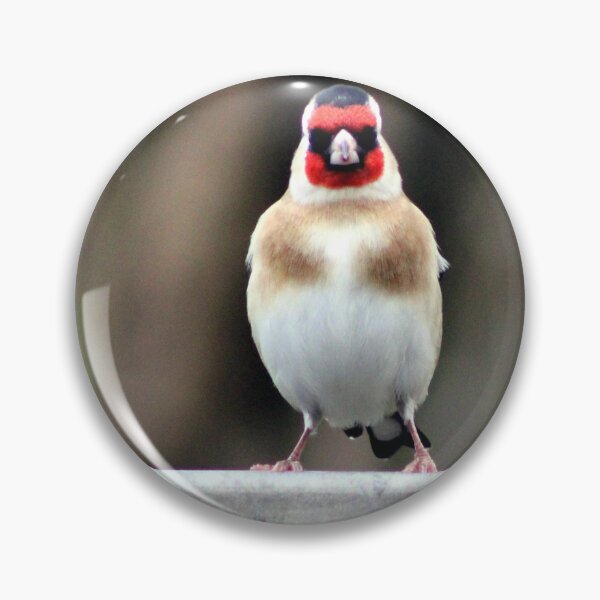 Item preview, goldfinch designed and sold by KathleenDawson.