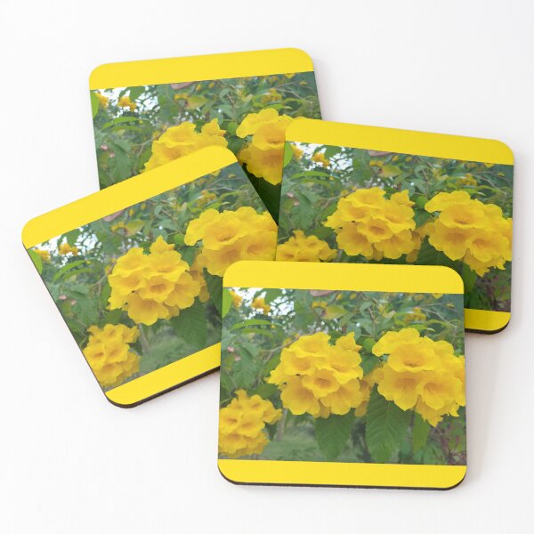 Item preview, Golden trumpet tree plant designed and sold by vibeno1.