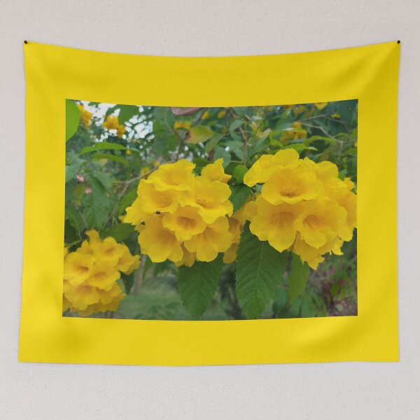 Item preview, Golden trumpet tree plant designed and sold by vibeno1.