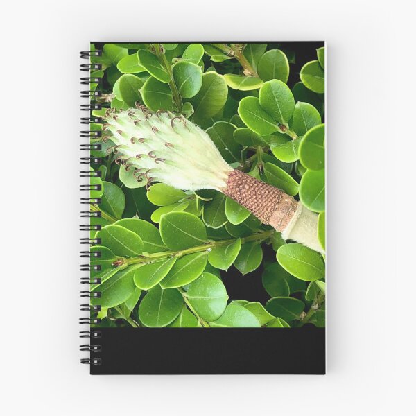 Item preview, Flower/seed in the Greenery  designed and sold by KazM.