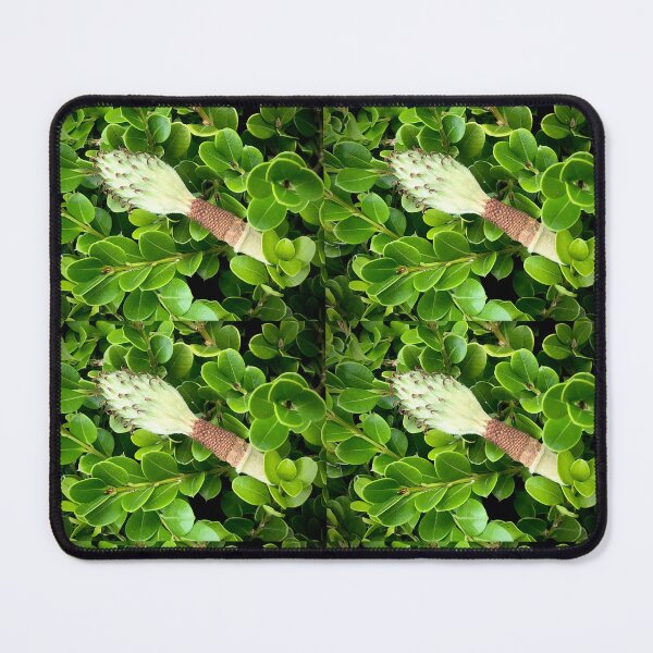Item preview, Flower/seed in the Greenery  designed and sold by KazM.