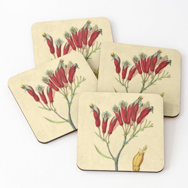 Item preview, Phormium designed and sold by ptMaker.