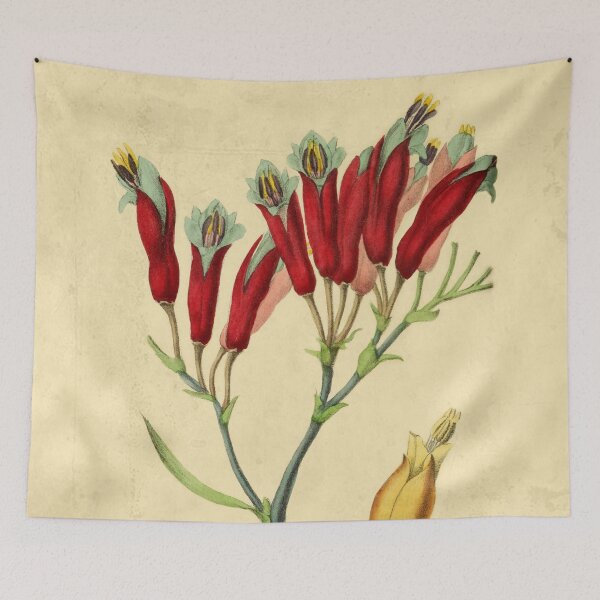 Item preview, Phormium designed and sold by ptMaker.