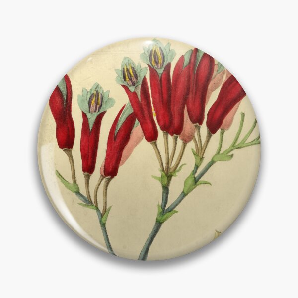 Item preview, Phormium designed and sold by ptMaker.