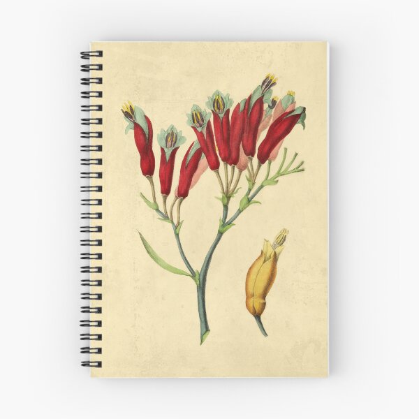 Item preview, Phormium designed and sold by ptMaker.