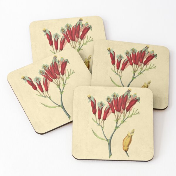 Item preview, Phormium With Details designed and sold by ptMaker.