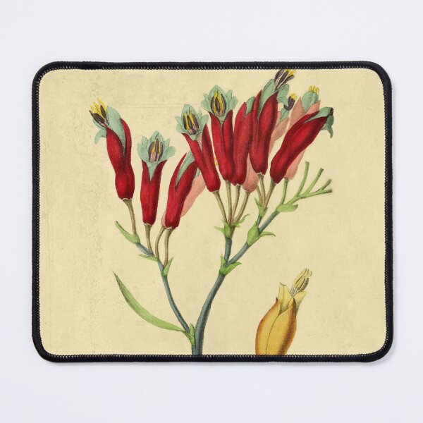 Item preview, Phormium With Details designed and sold by ptMaker.