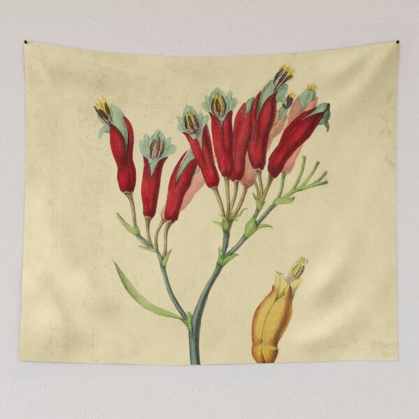 Item preview, Phormium With Details designed and sold by ptMaker.