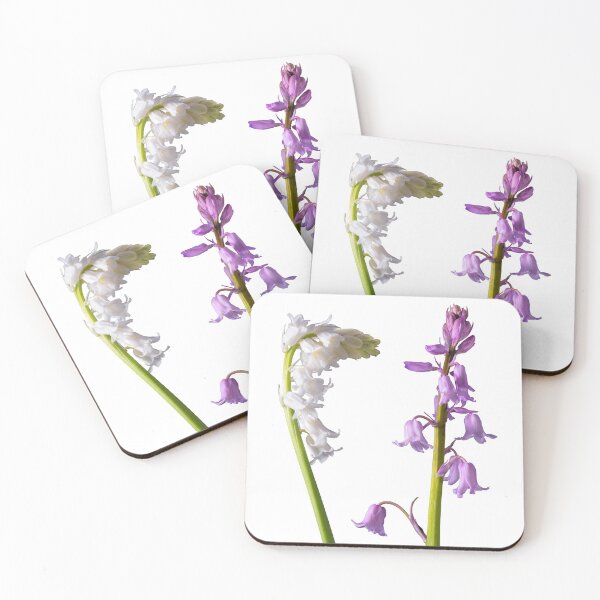Item preview, Pinkbells Whitebells, Studio Photo on Black,accent art designed and sold by JonDelorme.