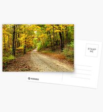 Golden Autumn Road Postcards