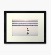 Beach Corgi Framed Print