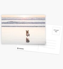 Beach Corgi Postcards