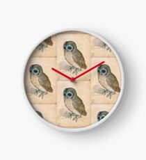 THE OWL Antique Animal Drawings Clock