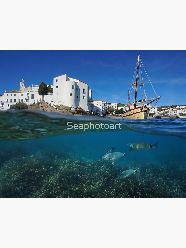 Mediterranean sea rocky coast with fish underwater, split view