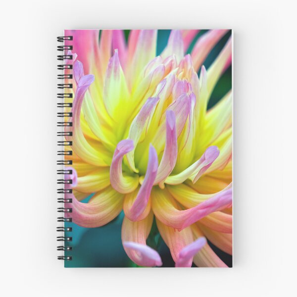 Item preview, Yellow and Magenta Flower designed and sold by likbatonboot.