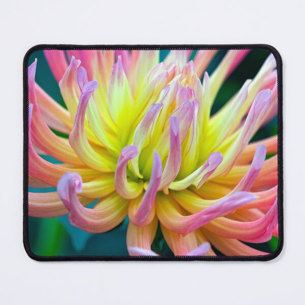 Item preview, Yellow and Magenta Flower designed and sold by likbatonboot.