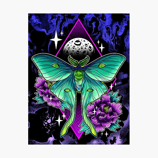 Luna Moth Photographic Print