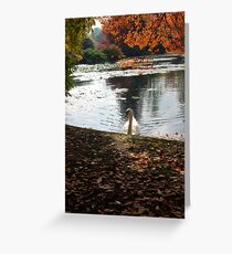 Elegance Greeting Card