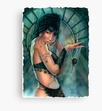 Black Widow Canvas Print