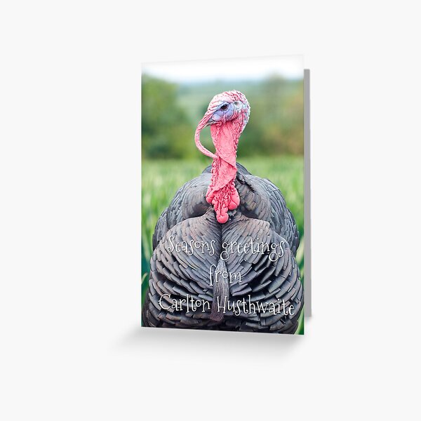 Turkey Christmas Card Greeting Card