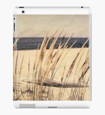 Dune Grass iPad Case/Skin