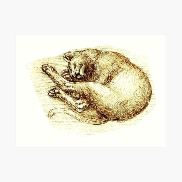Da Vinci - Cats Art Print